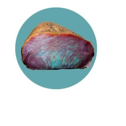 Bresaola di tonno aromi di macchia