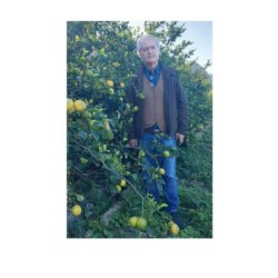 Limoni freschi di Sicilia 3 kg