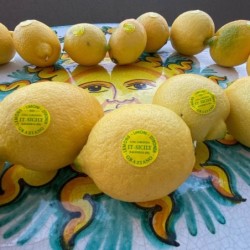 Limoni freschi di Sicilia 6 kg