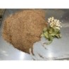 Bresaola Tomahawk