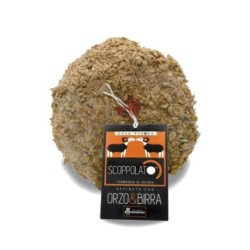 Formaggio Scoppolato Orzo e Birra