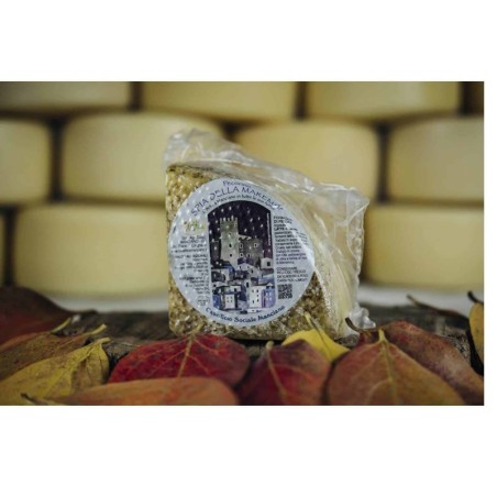 Pecorino Spia della Maremma Quartino