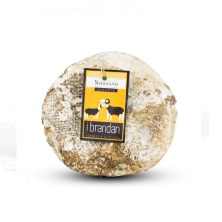 Formaggio Brandan