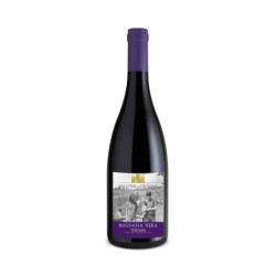 IGT Malvasia Nera