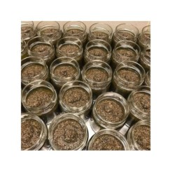 Sauce truffée | Foodaloo