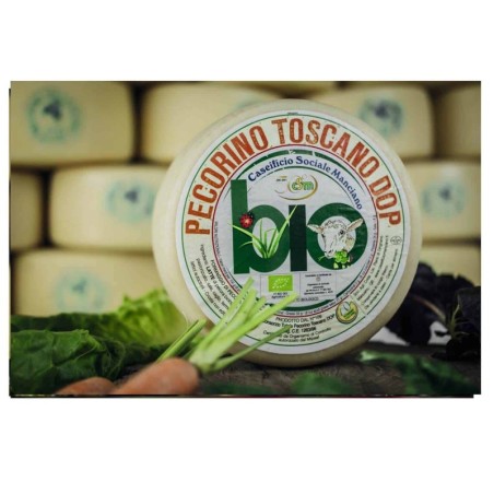 Pecorino Toscano D.O.P. Biologico