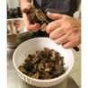 Cesto Testaroli e Tartufo