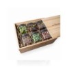Confezione regalo Tutto Olive