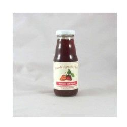 Bio-Erdbeernektar | Foodaloo