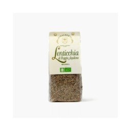 Lenticchia