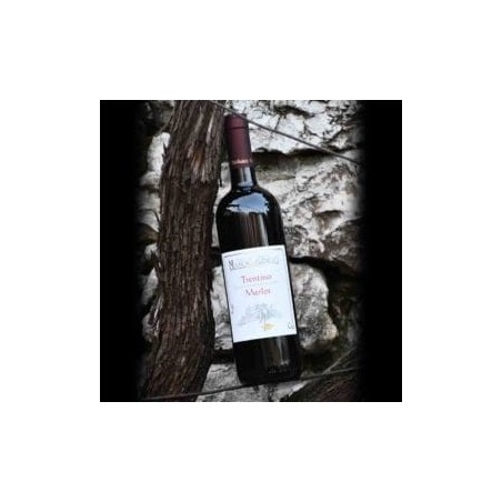 Trentino D.O.C. Merlot
