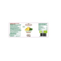Fruttasì Ananas | Foodaloo