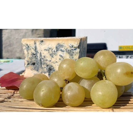Blu di Riccianico