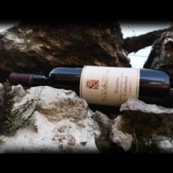 Trentino D.O.C. Cabernet Riserva