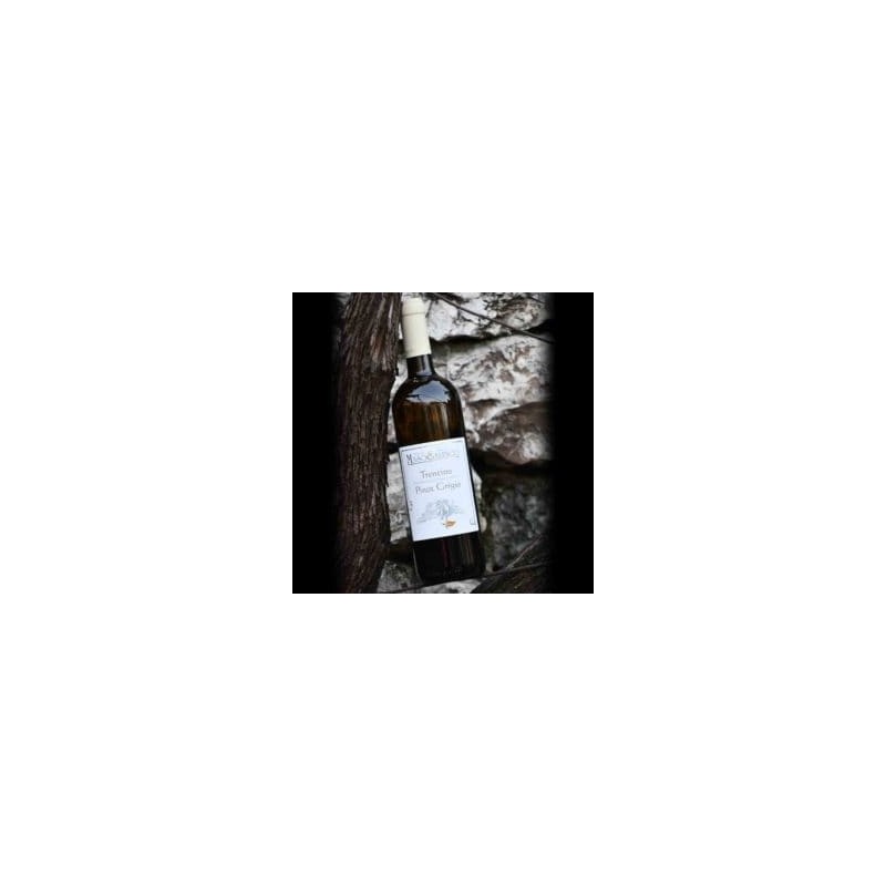 Trentino D.O.C. Pinot grigio