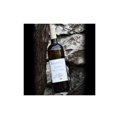 Trentino D.O.C. Pinot grigio