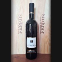 Pinot Grigio