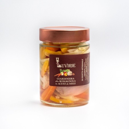 GIARDINIERA in ACETO di MELE g 340