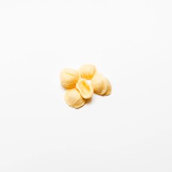 Orecchiette made from Italian durum wheat