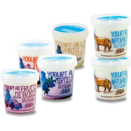 Mountain Yogurt