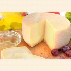 Caciotta