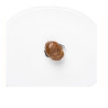Marrons glacés au « Marrone Valle di Susa I.G.P. » | Foodaloo
