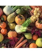 Fruit and Vegetables