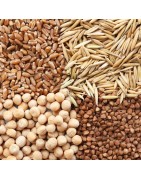 Legumi e Cereali