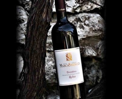Rebo vino rosso maso salengo trentio DOC