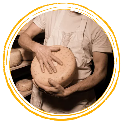Formaggi