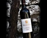 Rebo vino rosso maso salengo trentio DOC
