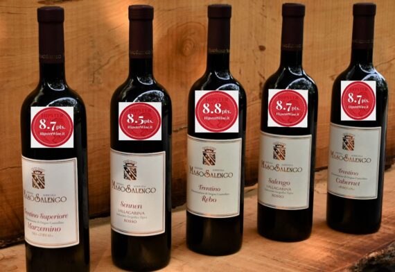 riconoscimenti vini Maso Salengo Trentino