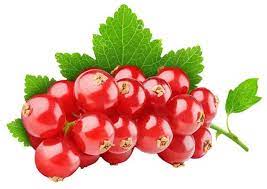 Sirup Rote Johannisbeere – Sciroppo di Ribes rosso BIO – 750 ml