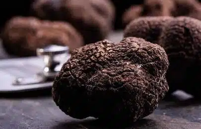 Tartufo nero Lunigiana Tartufo