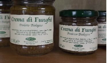 crema-di-funghi-radici-380x220